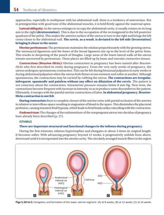 54 Textbook of Obstetrics
approaches, especially in multiparae with lax abdominal wall, there is a tendency of anteversion. But
in primigravidae with good tone of the abdominal muscles, it is held firmly against the maternal spine.
Lateral obliquity: As the uterus enlarges to occupy the abdominal cavity, it usually rotates on its long
axis to the right (dextrorotation). This is due to the occupation of the rectosigmoid in the left posterior
quadrant of the pelvis. This makes the anterior surface of the uterus to turn to the right and brings the left
cornu closer to the abdominal wall. The cervix, as a result, is deviated to the left side (levorotation)
bringing it closer to the ureter.
Uterineperitoneum:Theperitoneummaintainstherelationproportionatelywiththegrowinguterus.
The uterosacral ligaments and the bases of the broad ligament rise up to the level of the pelvic brim.
This results in deepening of the pouch of Douglas. Large areas of the lower lateral walls of the uterus
remain uncovered by peritoneum. These places are filled up by loose and vascular connective tissues.
Contractions (Braxton-Hicks): Uterine contraction in pregnancy has been named after Braxton-
Hicks who first described its entity during pregnancy. From the very early weeks of pregnancy, the
uterus undergoes spontaneous contraction. This can be felt during bimanual palpation in early weeks or
during abdominal palpation when the uterus feels firmer at one moment and softer at another. Although
spontaneous, the contractions may be excited by rubbing the uterus. The contractions are irregular,
infrequent, spasmodic and painless without any effect on dilatation of the cervix. The patient is
not conscious about the contractions. Intrauterine pressure remains below 8 mm Hg. Near term, the
contractions become frequent with increase in intensity so as to produce some discomfort to the patient.
Ultimately, it merges with the painful uterine contractions of labor. In abdominal pregnancy, Braxton-
Hicks contraction is not felt.
Duringcontraction there is complete closure of the uterine veins with partial occlusion of the arteries
inrelationtointervillousspaceresultinginstagnationofbloodinthespace.Thisdiminishestheplacental
perfusion,causingtransientfetalhypoxia,whichleadstofetalbradycardiacoincidingwiththecontraction.
Endometrium:Thechangesoftheendometriumofthenonpregnantuterusintodeciduaofpregnancy
have already been described (p. 27).
ISTHMUS
There are important structural and functional changes in the isthmus during pregnancy.
During the first trimester, isthmus hypertrophies and elongates to about 3 times its original length.
It becomes softer. With advancing pregnancy beyond 12 weeks, it progressively unfolds from above,
downwarduntilitisincorporatedintotheuterinecavity.Thecircularlyarrangedmusclefibersintheregion
Figs 5.3A to C: Elongation and formation of the lower uterine segment: (A) at 8 weeks; (B) at 12 weeks; (C) at 16 weeks
A B C
Ch-05.indd 54 2/4/2015 10:54:24 AM
 