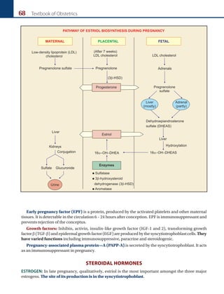68 Textbook of Obstetrics
Early pregnancy factor (EPF) is a protein, produced by the activated platelets and other maternal
tissues. It is detectable in the circulation 6 – 24 hours after conception. EPF is immunosuppressant and
prevents rejection of the conceptus.
Growth factors: Inhibin, activin, insulin-like growth factor (IGF-1 and 2), transforming growth
factor b (TGF-b) and epidermal growth factor (EGF) are produced by the syncytiotrophoblast cells. They
have varied functions including immunosuppressive, paracrine and steroidogenic.
Pregnancy-associated plasma protein—A (PAPP-A) is secreted by the syncytiotrophoblast. It acts
as an immunosuppressant in pregnancy.
SterOIdal Hormones
ESTROGEN: In late pregnancy, qualitatively, estriol is the most important amongst the three major
estrogens. The site of its production is in the syncytiotrophoblast.
Ch-06.indd 68 2/4/2015 10:56:23 AM
 