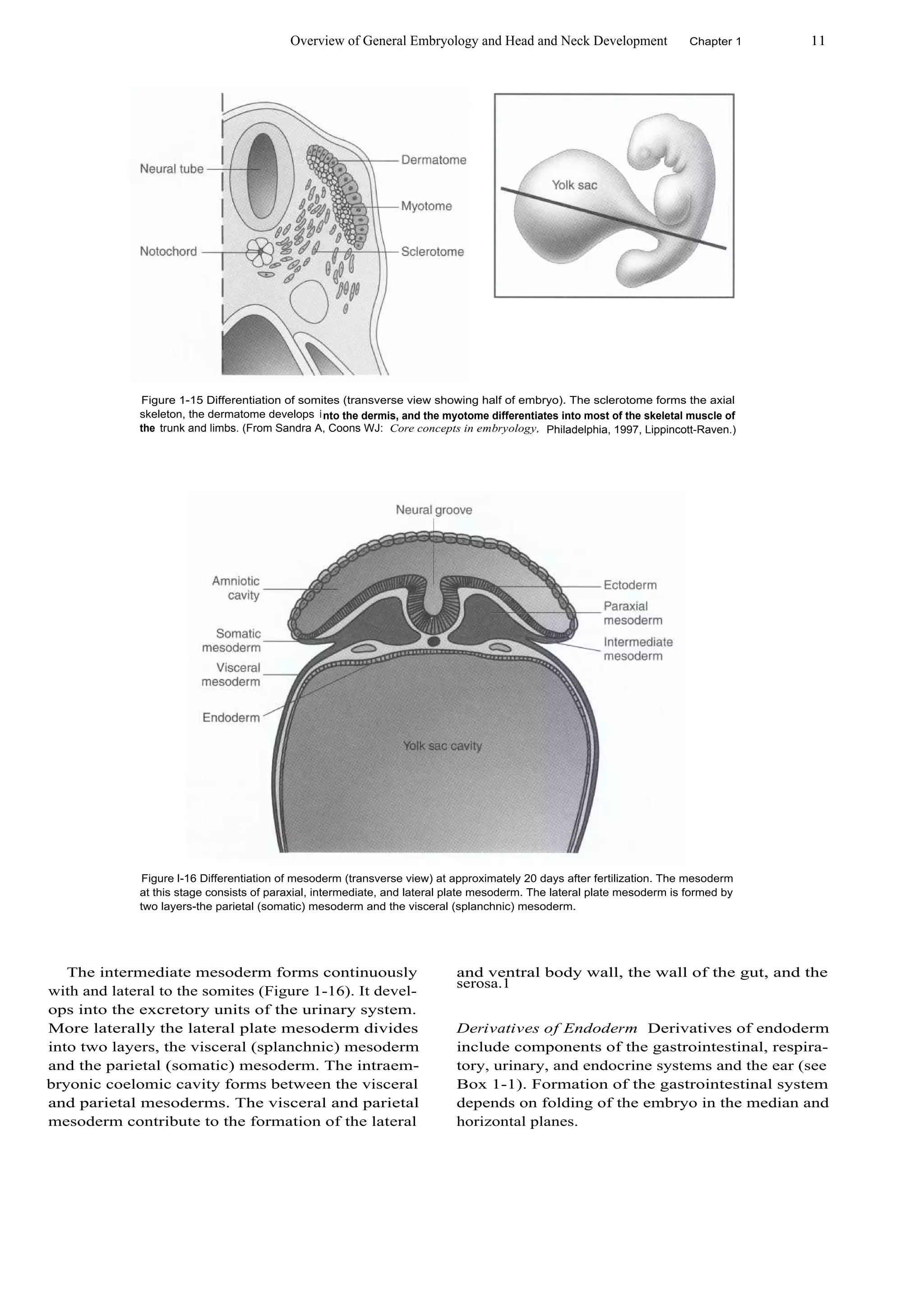 Text book of orthodontics | PDF