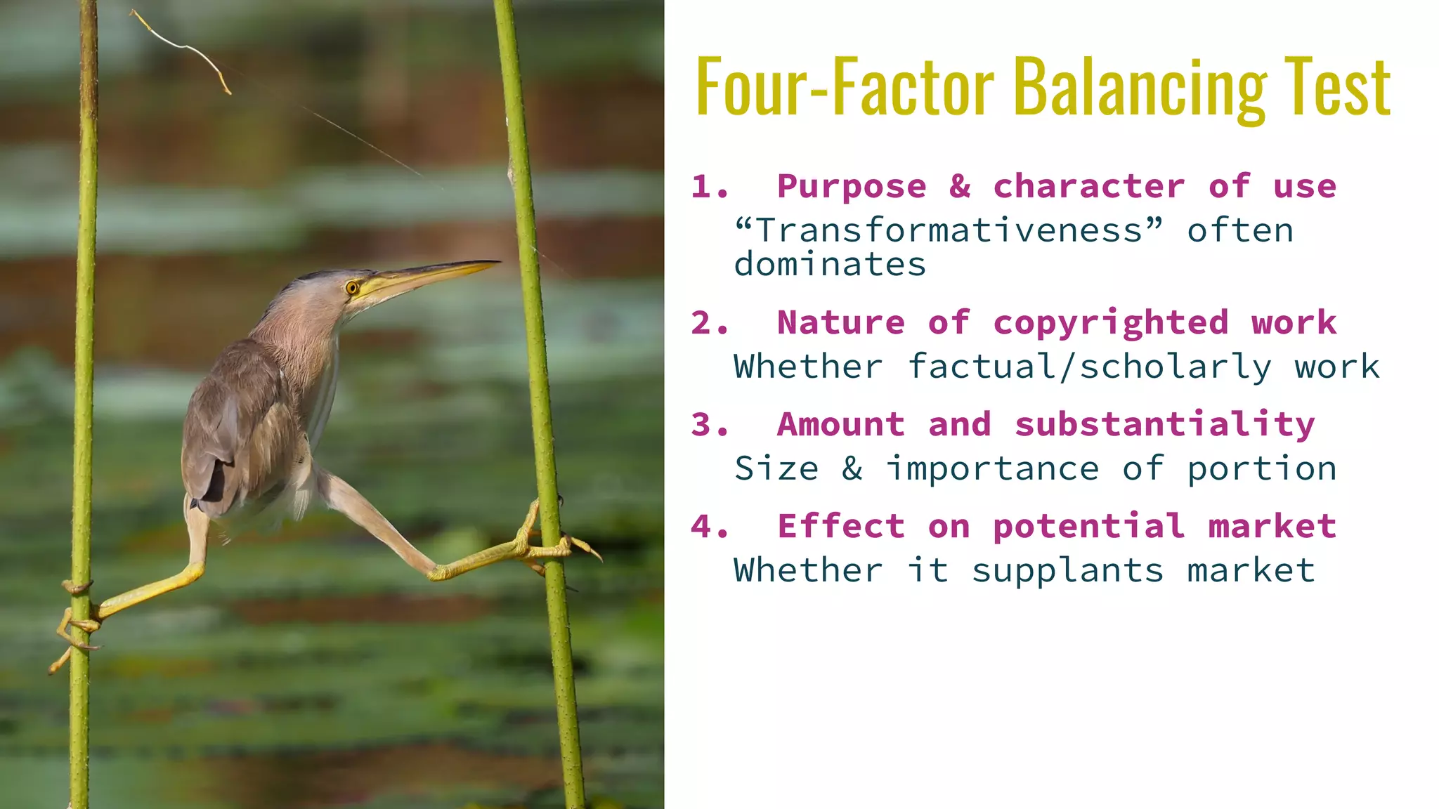Four-Factor Balancing Test
1. Purpose & character of use
“Transformativeness” often
dominates
2. Nature of copyrighted work
Whether factual/scholarly work
3. Amount and substantiality
Size & importance of portion
4. Effect on potential market
Whether it supplants market
 
