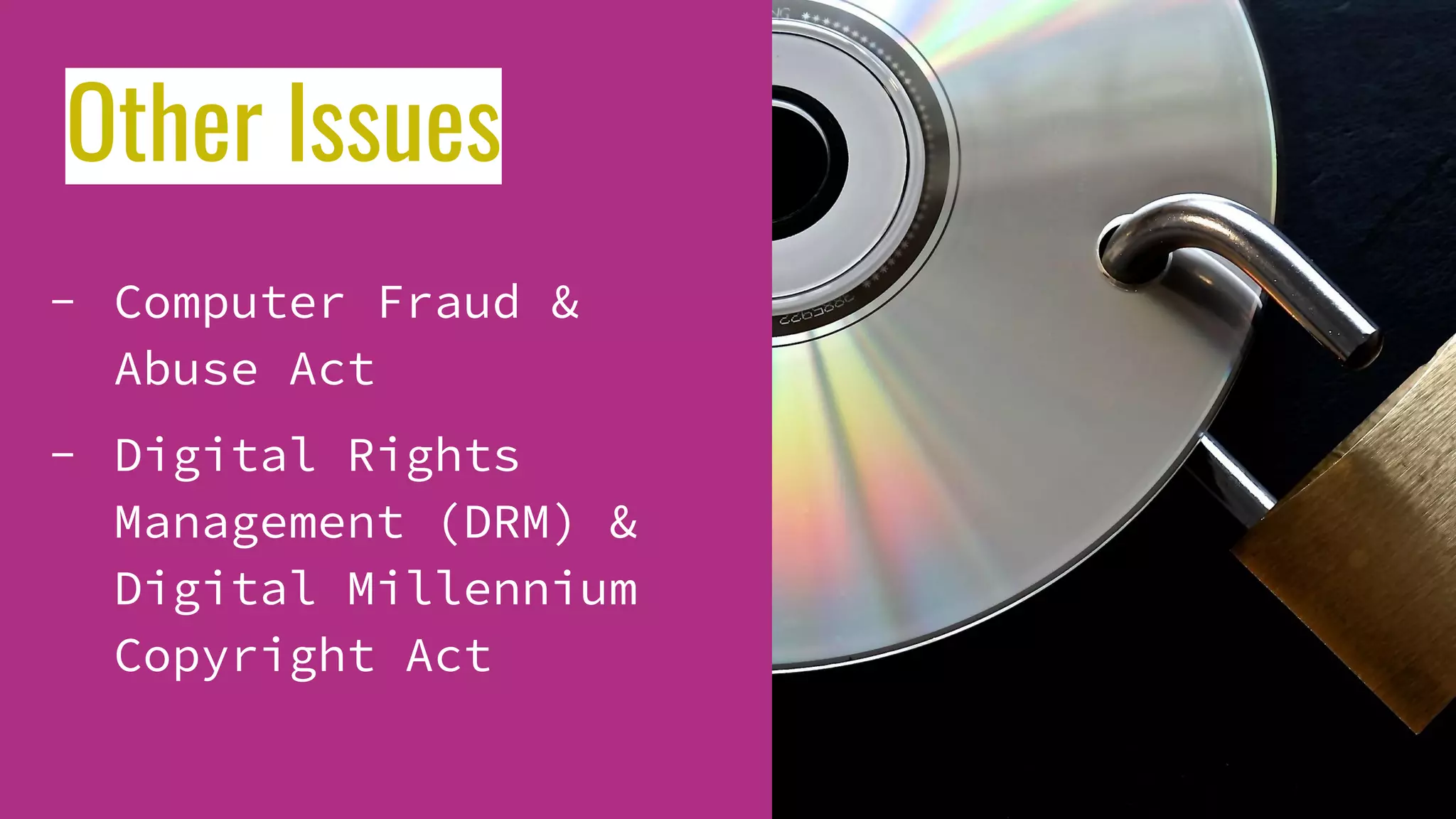 - Computer Fraud &
Abuse Act
- Digital Rights
Management (DRM) &
Digital Millennium
Copyright Act
Other Issues
 
