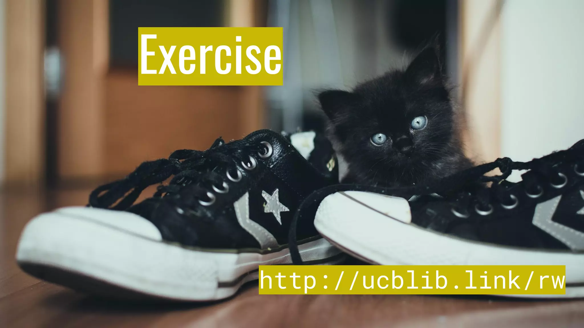 Exercise
http://ucblib.link/rw
 