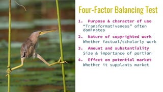 Four-Factor Balancing Test
1. Purpose & character of use
“Transformativeness” often
dominates
2. Nature of copyrighted work
Whether factual/scholarly work
3. Amount and substantiality
Size & importance of portion
4. Effect on potential market
Whether it supplants market
 