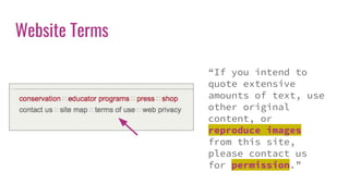Website Terms
“If you intend to
quote extensive
amounts of text, use
other original
content, or
reproduce images
from this site,
please contact us
for permission.”
 