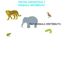 TEXTOS EXPOSITIUS I
ANIMALS VERTEBRATS
ELS ANIMALS VERTEBRATS
 