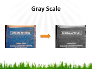 Gray Scale

 