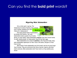Can you find the  bold print  words? Bold print 