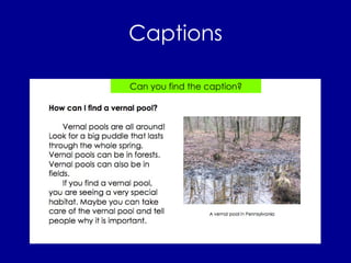 Captions Can you find the caption? 