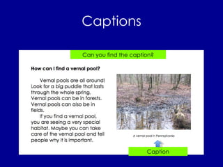 Captions Can you find the caption? Caption 