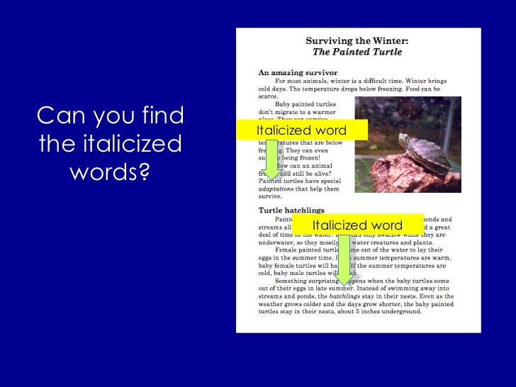 text features what is a text feature