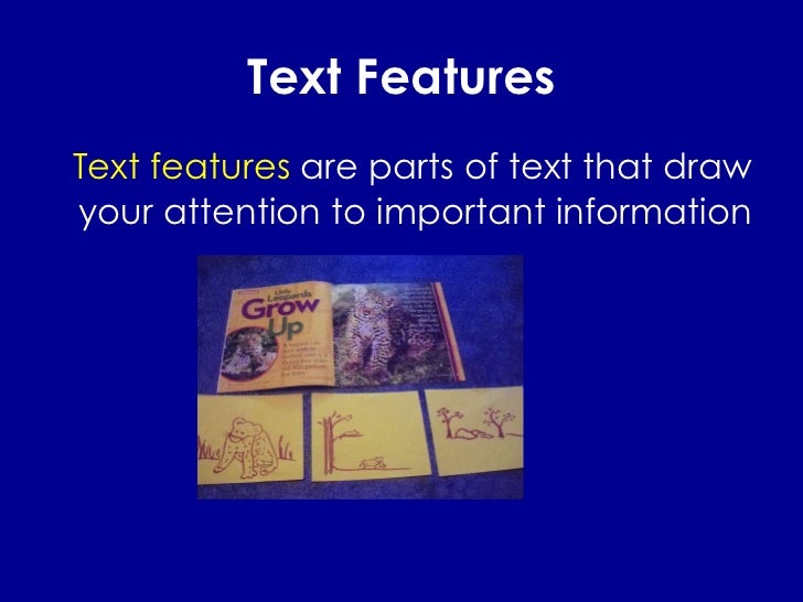 text features what is a text feature