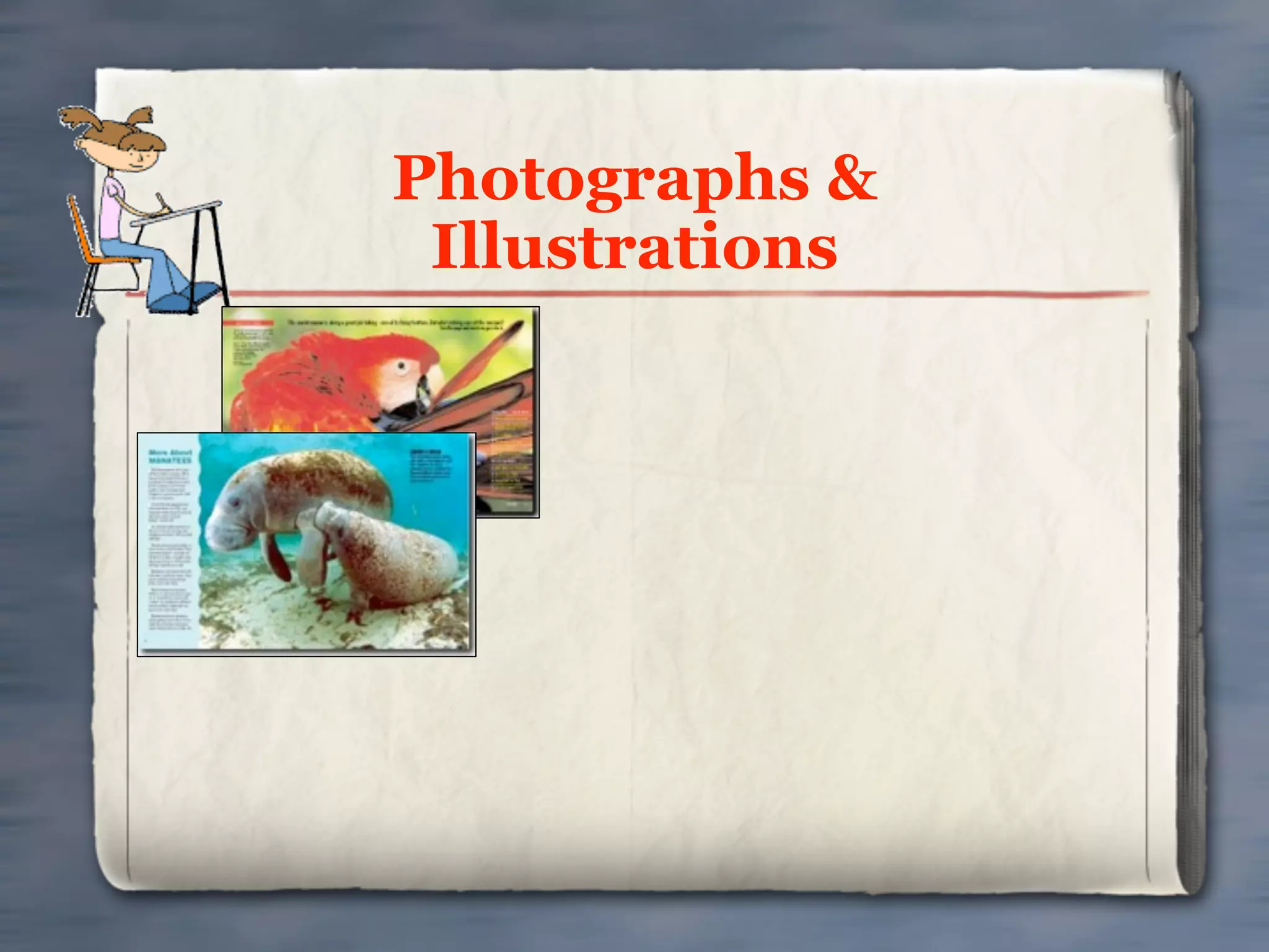 Photographs &
 Illustrations
 