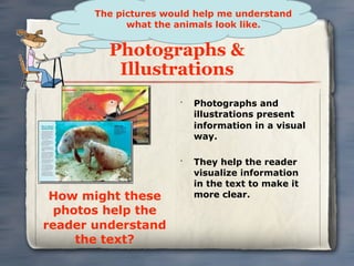 The pictures would help me understand
             what the animals look like.


         Photographs &
          Illustrations
                       •
                           Photographs and
                           illustrations present
                           information in a visual
                           way.

                       •
                           They help the reader
                           visualize information
                           in the text to make it
 How might these           more clear.
  photos help the
reader understand
     the text?
 