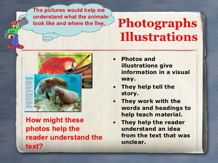 Text features