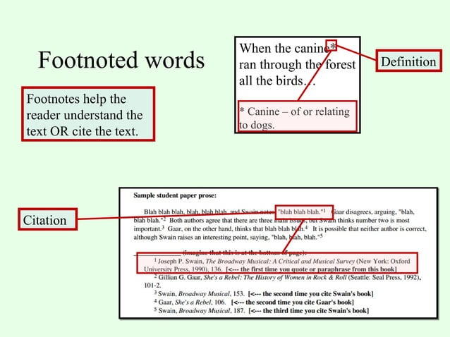 Text features