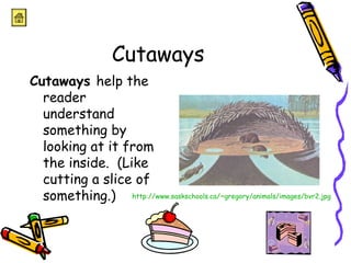 Cutaways 
Cutaways help the 
reader 
understand 
something by 
looking at it from 
the inside. (Like 
cutting a slice of 
something.) http://www.saskschools.ca/~gregory/animals/images/bvr2.jpg 
 