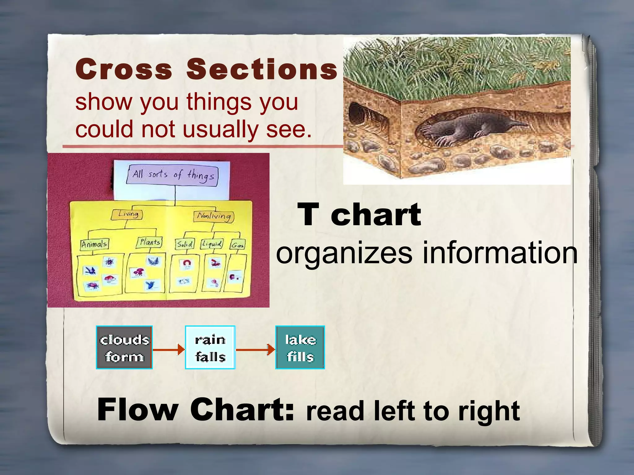 Cross Sections  show you things you  could not usually see. Flow Chart:  read left to right T chart  organizes information 