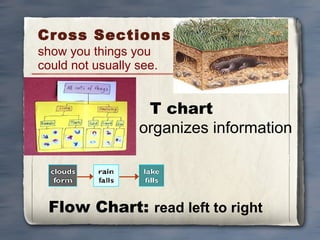 Cross Sections  show you things you  could not usually see. Flow Chart:  read left to right T chart  organizes information 