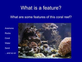 What is a feature?
What are some features of this coral reef?
Anemone
Rocks
Coral
Water
Sand
…and so on
 