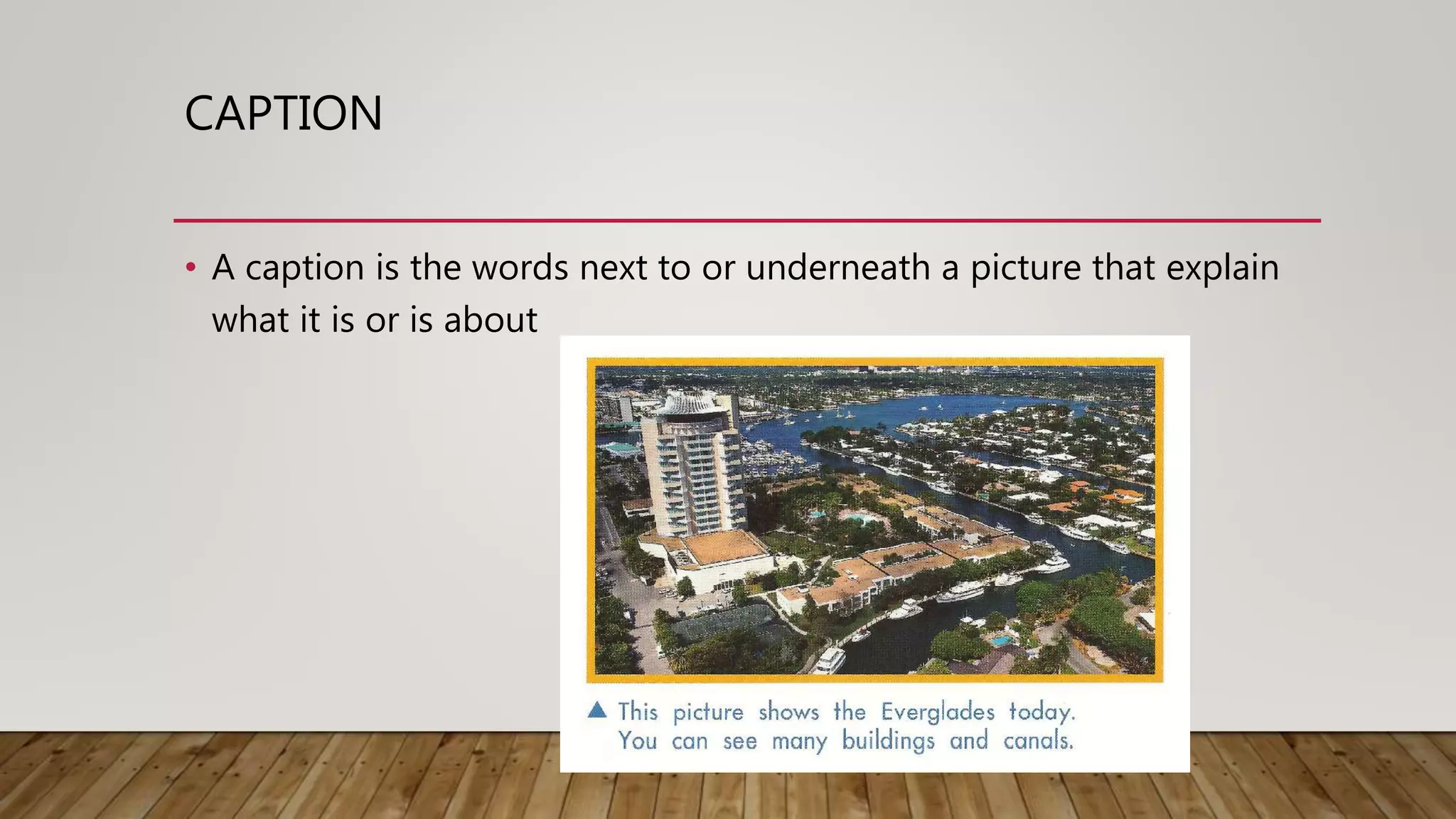 CAPTION
• A caption is the words next to or underneath a picture that explain
what it is or is about
 