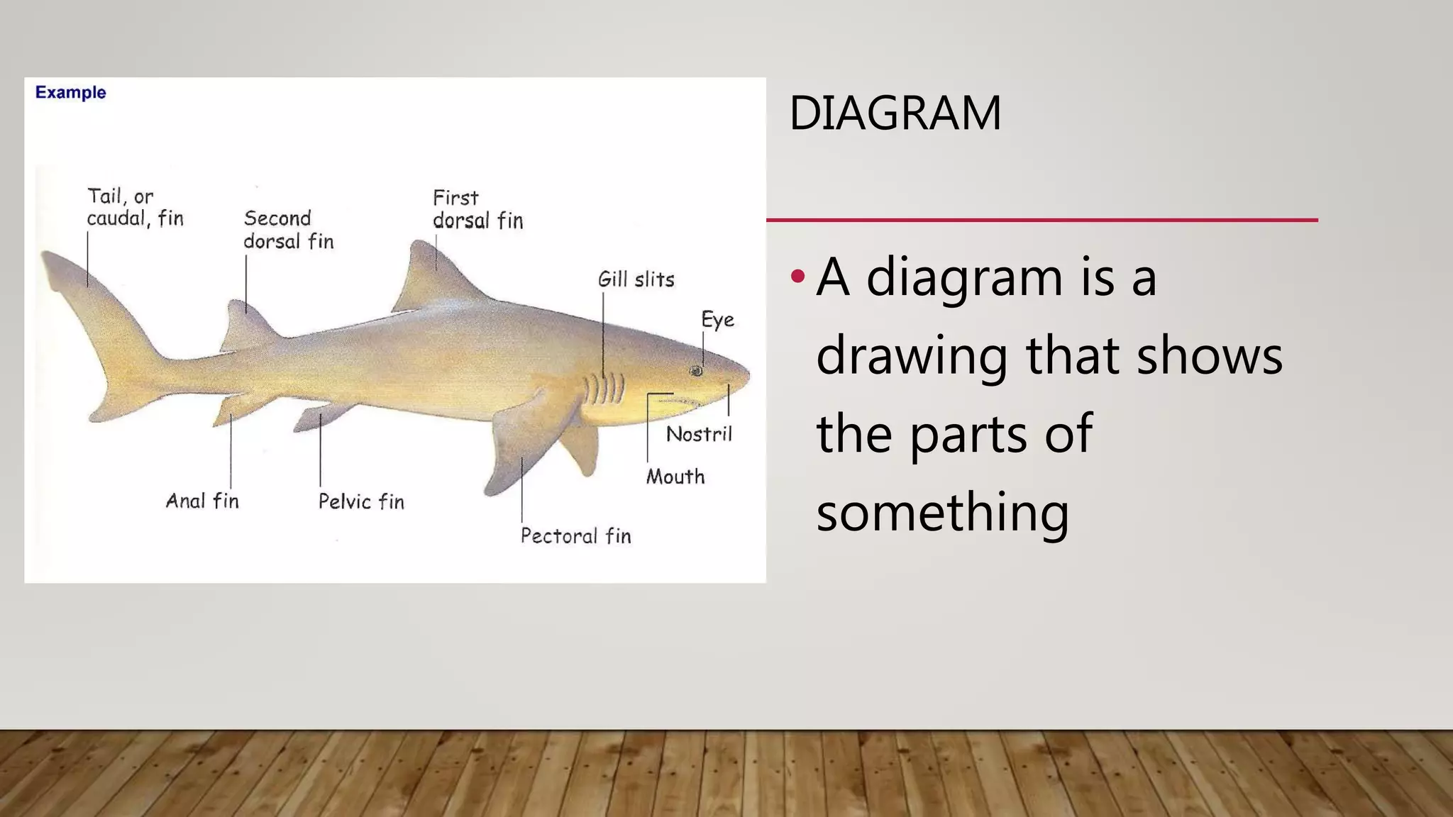 DIAGRAM
•A diagram is a
drawing that shows
the parts of
something
 