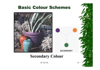 Basic Colour Schemes




    Secondary Colour
        Dr. Tan CK     24
 