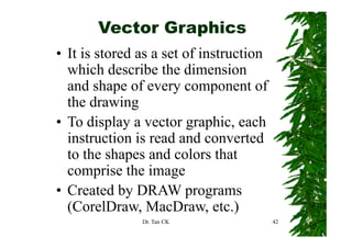 Vector Graphics
• It is stored as a set of instruction
  which describe the dimension
  and shape of every component of
  the drawing
• To display a vector graphic, each
                         graphic
  instruction is read and converted
  to the shapes and colors that
  comprise the image
• Created by DRAW programs
  (CorelDraw, MacDraw, etc )
  (CorelDraw MacDraw etc.)
               Dr. Tan CK                42
 
