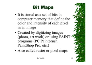 Bit Maps
• It is stored as a set of bits in
  computer memory that define the
                         h d fi h
  color and intensity of each pixel
                      y          p
  in an image
• Created by digitizing images
  (photo, art work) or using PAINT
  programs (PC P i b h
                   Paintbrush,
  PaintShop Pro, etc.)
             p          )
• Also called raster or pixel maps
              Dr. Tan CK              44
 
