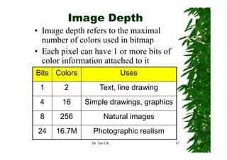 Image Depth
• Image depth refers to the maximal
  number of colors used in bitmap  p
• Each pixel can have 1 or more bits of
  color information attached to it
Bits Colors                  Uses
 1      2           Text, line drawing
 4     16     Simple drawings, graphics
 8     256            Natural images
 24   16.7M     Photographic realism
                     g p
                Dr. Tan CK                47
 