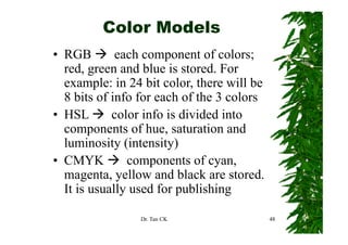 Color Models
• RGB        each component of colors;
  red,
  red green and blue is stored. For
                          stored
  example: in 24 bit color, there will be
  8 bits of info for each of the 3 colors
     bit f i f f        h f th       l
• HSL       color info is divided into
  components of hue, saturation and
  luminosity (intensity)
• CMYK         components of cyan,
  magenta, yellow and black are stored.
  It is usually used for publishing

                 Dr. Tan CK                 48
 