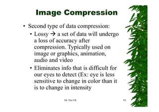 Image Compression
• Second type of data compression:
   • Lossy a set of data will undergo
     a loss of accuracy after
                       y
     compression. Typically used on
     image or graphics, animation,
          g    g p       ,          ,
     audio and video
   • Eliminates info that is difficult for
     our eyes to detect (Ex: eye is less
     sensitive to change in color than it
     is to change in intensity
                  Dr. Tan CK                 54
 