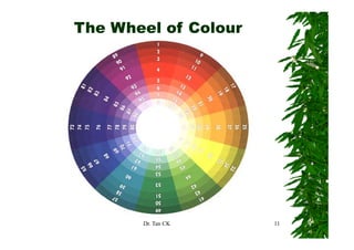 The Wheel of Colour




       Dr. Tan CK     11
 
