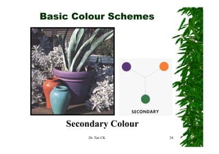Basic Colour Schemes




    Secondary Colour
        Dr. Tan CK     24
 