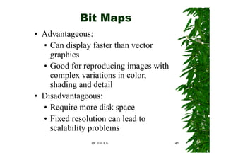 Bit Maps
• Advantageous:
  • C di l faster than vector
    Can display f t th         t
    graphics
  • Good for reproduc...