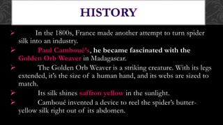 Spiders Invention SPIDER SILK | PPTX
