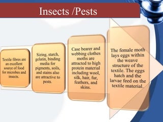 Insects /Pests
 