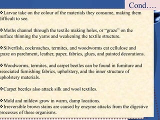 Larvae take on the colour of the materials they consume, making them
difficult to see.
Moths channel through the textile making holes, or “graze” on the
surface thinning the yarns and weakening the textile structure.
Silverfish, cockroaches, termites, and woodworms eat cellulose and
graze on parchment, leather, paper, fabrics, glues, and painted decorations.
Woodworms, termites, and carpet beetles can be found in furniture and
associated furnishing fabrics, upholstery, and the inner structure of
upholstery materials.
Carpet beetles also attack silk and wool textiles.
Mold and mildew grow in warm, damp locations.
Irreversible brown stains are caused by enzyme attacks from the digestive
processes of these organisms.
Cond….
 
