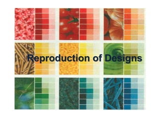Reproduction of Designs

 