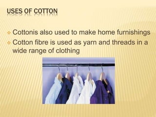 USES OF COTTON
 Cottonis also used to make home furnishings
 Cotton fibre is used as yarn and threads in a
wide range of clothing
 