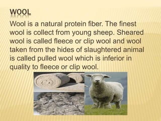 WOOL
Wool is a natural protein fiber. The finest
wool is collect from young sheep. Sheared
wool is called fleece or clip wool and wool
taken from the hides of slaughtered animal
is called pulled wool which is inferior in
quality to fleece or clip wool.
 