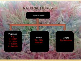 NATURAL FIBRES
Natural fibres
Vegetable
E.g.
 cotton
 Linen
 Kapok
 Jute etc
Animal
Eg. Silk
Wool etc
Mineral
Eg. Asbestos
 