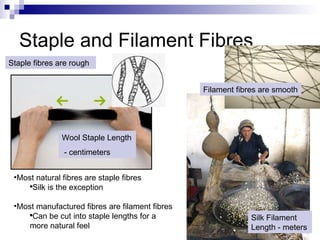 Staple and Filament Fibres Wool Staple Length - centimeters Silk Filament Length - meters Most natural fibres are staple fibres Silk is the exception Most manufactured fibres are filament fibres Can be cut into staple lengths for a more natural feel Staple fibres are rough Filament fibres are smooth 