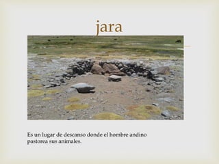
jara
Es un lugar de descanso donde el hombre andino
pastorea sus animales.
 
