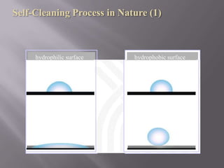      silver nanoparticles in the fiber