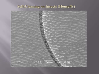 Ceramic Coating (Sol-Gel-Process)    matrix-precursor (SiO2 nanoparticles with cross-linking silicium organic compounds)