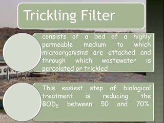 consists of a bed of a highly
permeable medium to which
microorganisms are attached and
through which wastewater is
percolated or trickled
This easiest step of biological
treatment is reducing the
BOD5 between 50 and 70%.
Trickling Filter
 