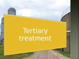 Tertiary
treatment
 