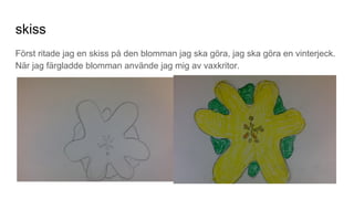 skiss
Först ritade jag en skiss på den blomman jag ska göra, jag ska göra en vinterjeck.
När jag färgladde blomman använde jag mig av vaxkritor.
 