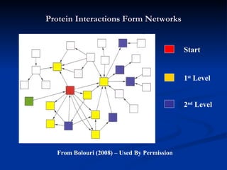 Protein Interactions Form Networks Start 1 st  Level 2 nd  Level From Bolouri (2008) – Used By Permission 