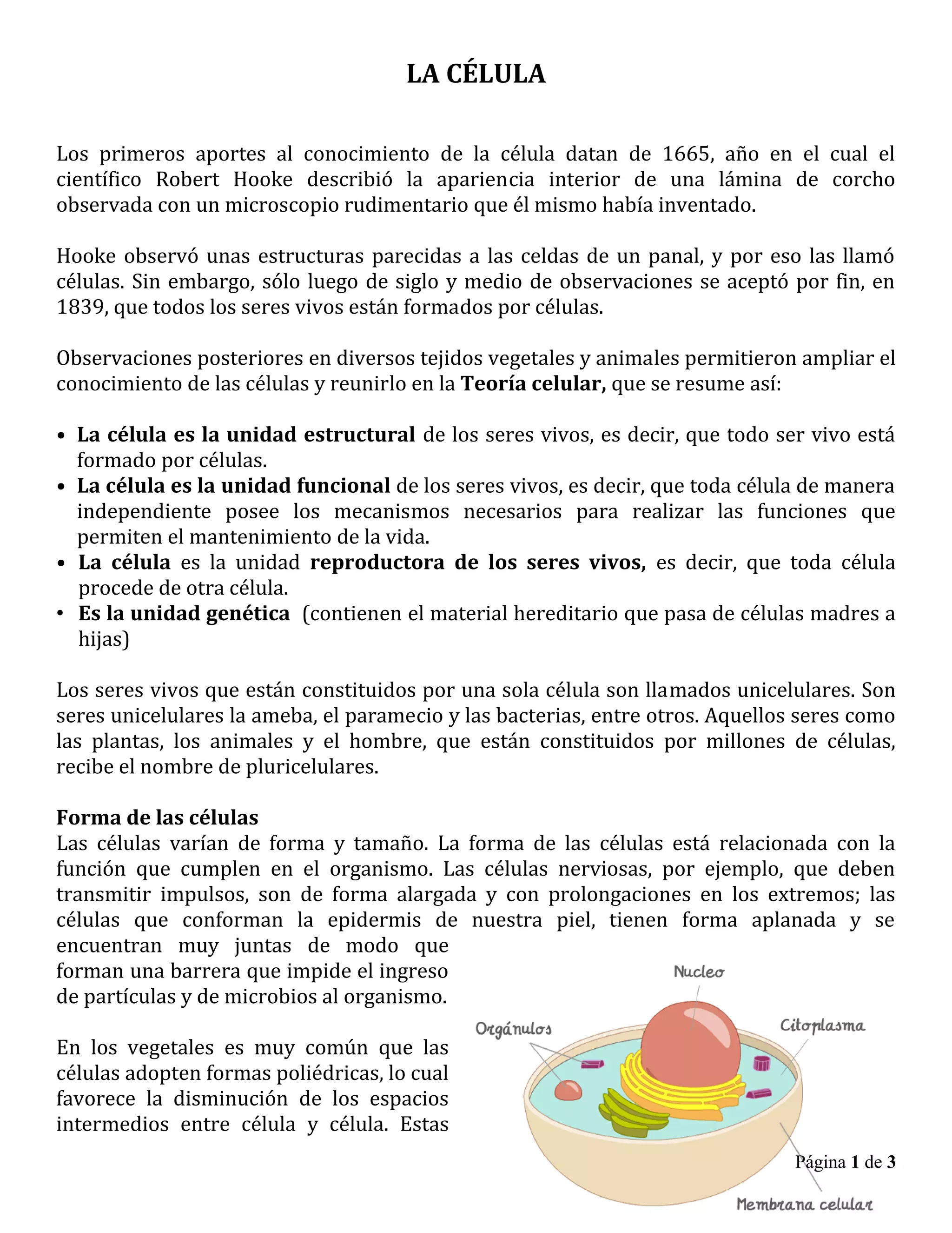 Texto. celula. ciclo 3 inecicu | DOC